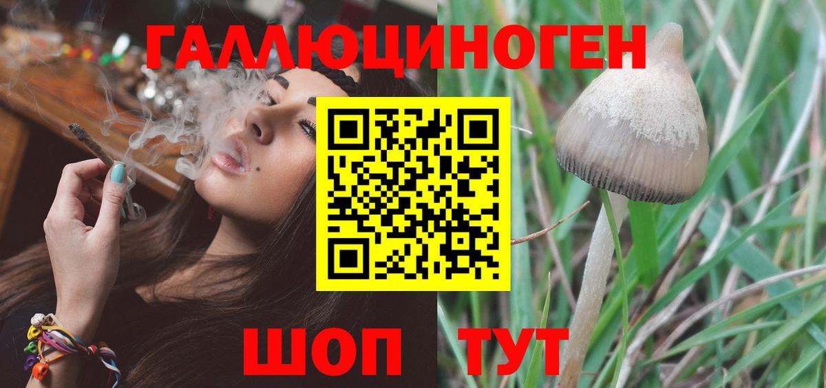 Галлюциногенные грибы мухоморы Десногорск